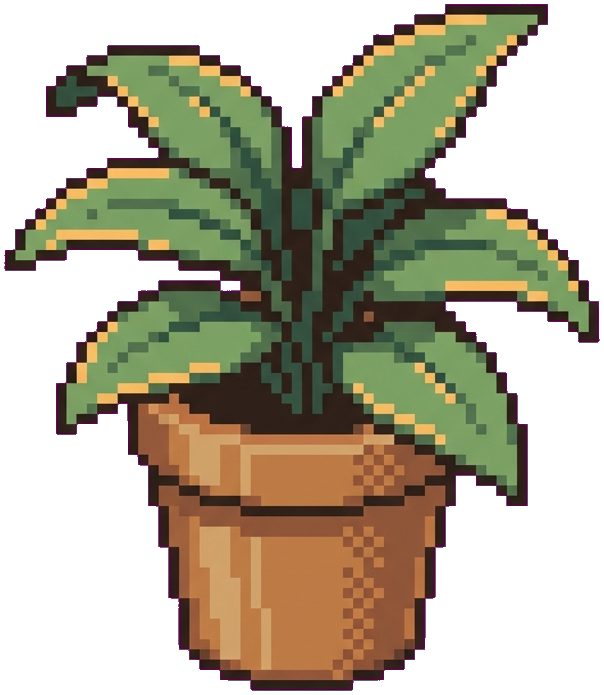 Potted plant